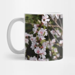 Tiny White and Pink Blossoms in Photography Mug